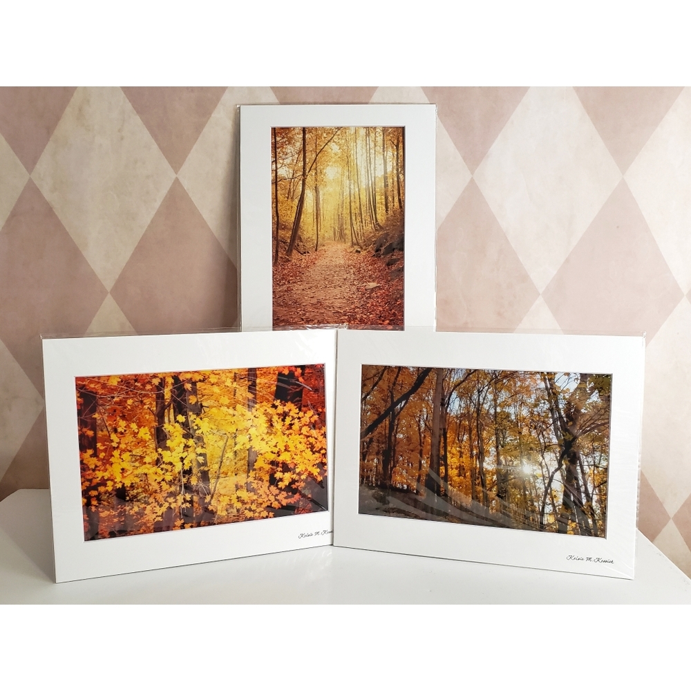 Autumn / Fall Photography Prints
